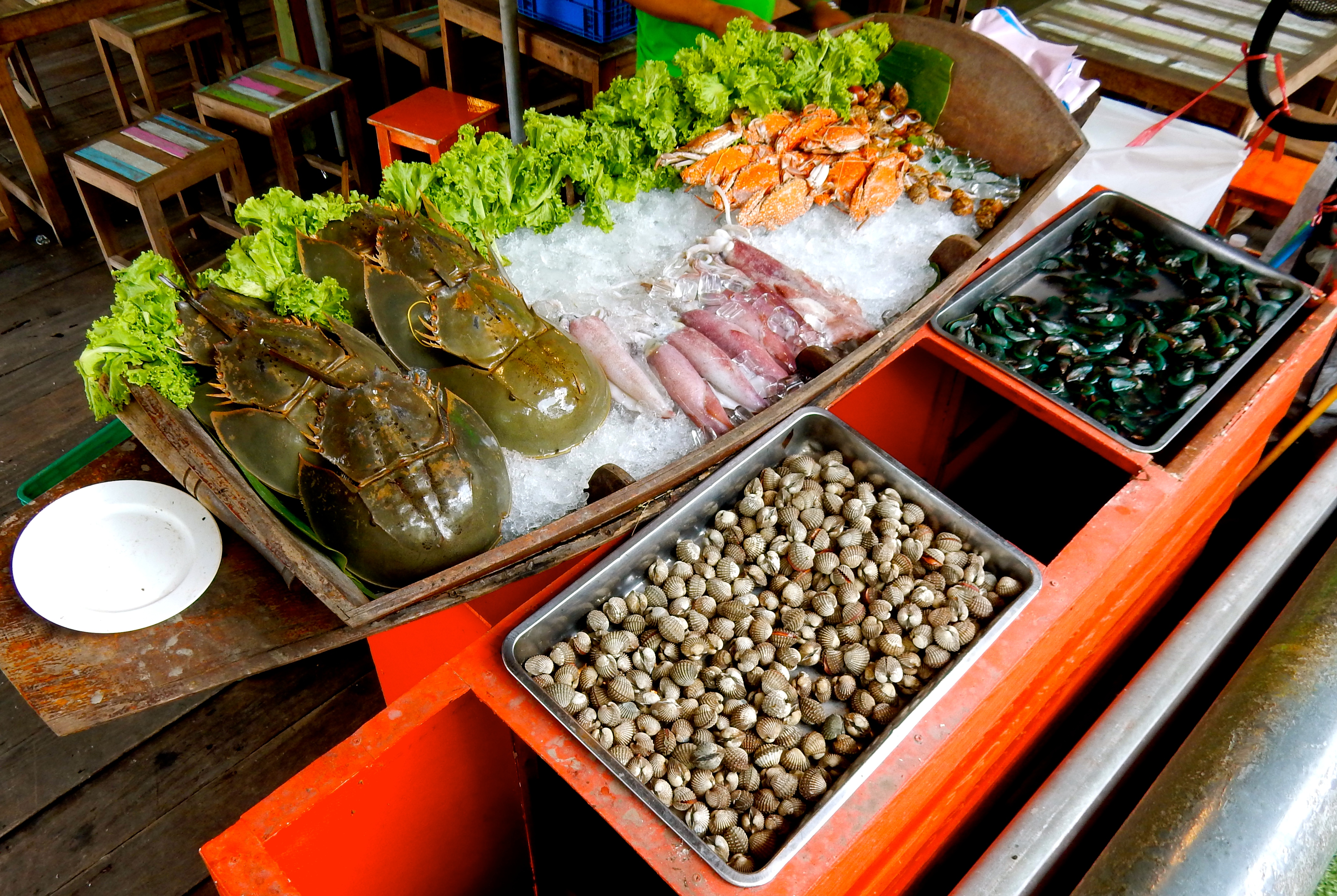 fresh crab and  other